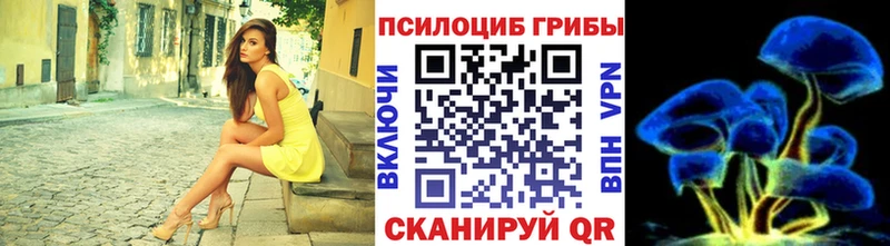 купить закладку  KRAKEN маркетплейс  Псилоцибиновые грибы прущие грибы  Власиха 