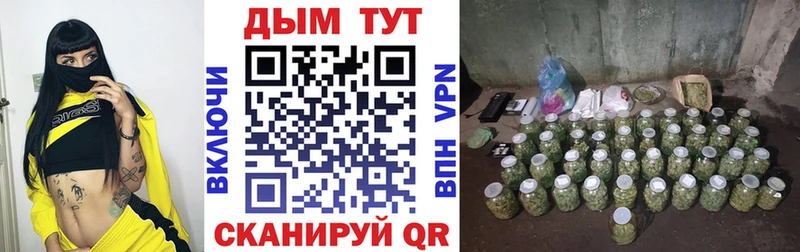дарк нет состав  закладки  Власиха  Бошки марихуана OG Kush 